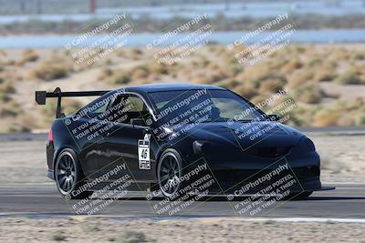 media/Oct-24-2025-Doghouse Garage (Fri) [[783d2ff07a]]/1-Advanced/Session 2 Turn 5 Tree of Life/